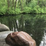 Загородный отель Комарово, фото гостя