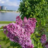 Балтийское море, фото отдыхающего в мае