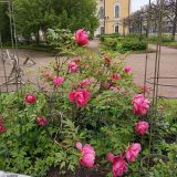 Балтийское море, фото отдыхающего в мае