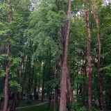 Парк-Отель Воздвиженское, фото гостя