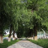 Тихорецк, фото отдыхающего в мае