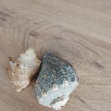 Феодосия, фото отдыхающего в июне