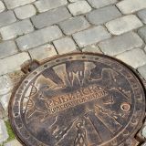 Река Волга, фото отдыхающего в июне