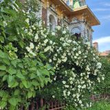 Река Волга, фото отдыхающего в июне