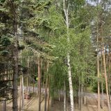 Загородный отель Комарово, фото гостя
