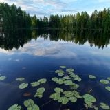 Загородный клуб VALDAY HUNTING & COUNTRY CLUB, фото гостя