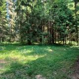 Загородный клуб VALDAY HUNTING & COUNTRY CLUB, фото гостя