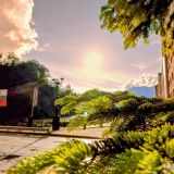 Кубань, фото отдыхающего в июне