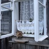 Суздаль, фото отдыхающего в июне
