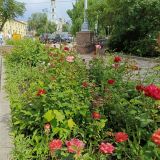 Поволжье, фото отдыхающего в июне