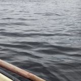База отдыха Тайга, фото гостя