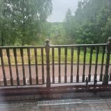 Парк-Отель Орловский, фото гостя