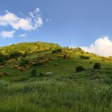 Mountain Saniba Eco Hotel, фото гостя