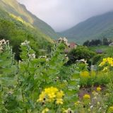 Mountain Saniba Eco Hotel, фото гостя