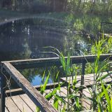 Загородный клуб VALDAY HUNTING & COUNTRY CLUB, фото гостя