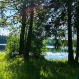 Загородный клуб VALDAY HUNTING & COUNTRY CLUB, фото гостя