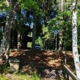 Загородный клуб VALDAY HUNTING & COUNTRY CLUB, фото гостя