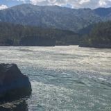 Гостевой дом Белый Аист, фото гостя