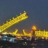 Ленинградская область, фото отдыхающего в июне