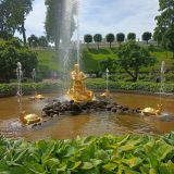Ленинградская область, фото отдыхающего в июне