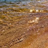 Загородный отель Игора Времена года, фото гостя