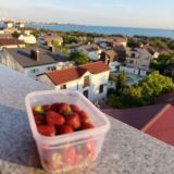 Гостевой дом Дом Путешественника, фото гостя