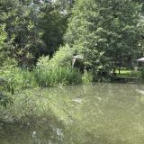 Парк-Отель Рыболовная усадьба, фото гостя