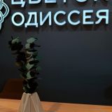 Отель Грейс Небуг Калипсо, фото гостя