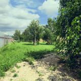 База отдыха Академия отдыха, фото гостя