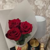 Отель Бастон на улице Герцена, фото гостя