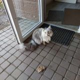 Гостевой дом Новосельковский, фото гостя