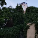 Отель Матисов Домик у Новой Голландии, фото гостя