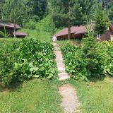 База отдыха Усадьба в горах Телецкое, фото гостя