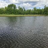 База отдыха Ряйсяля, фото гостя