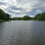 База отдыха Ряйсяля, фото гостя