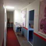 Гостевой дом ТИПИЧНЫЙ ПИТЕР НА ЗАГОРОДНОМ, фото гостя