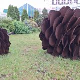 Москва, фото отдыхающего в июне