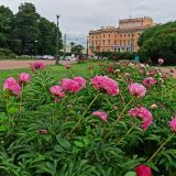Ленинградская область, фото отдыхающего в июне