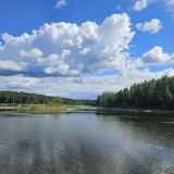 База отдыха Зелёный мыс, фото гостя