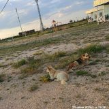 Отель Южный бриз, фото гостя