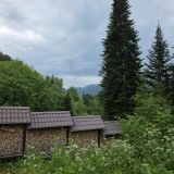 Гостиница Урочище Актра, фото гостя