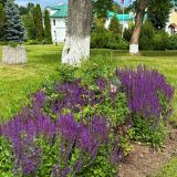 Отель Пушкарская слобода, фото гостя