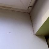 Уютные апартаменты на Дмитровском шоссе 107а, фото гостя