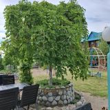 Загородный отель Новинка, фото гостя