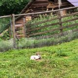 База отдыха Этно-Усадьба, фото гостя