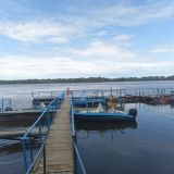 Рыболовная база Авалон, фото гостя