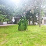 Загородный отель ROYAL PARK, фото гостя