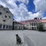 Воронеж, фото отдыхающего в июне