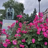 Воронеж, фото отдыхающего в июне