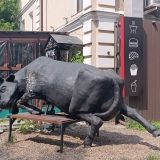 Томск, фото отдыхающего в июне